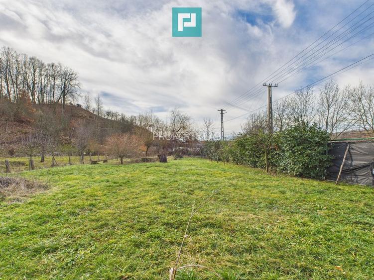 Casă deosebită la Urvișu de Beliu - 5