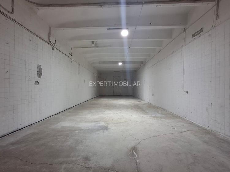 Spatii depozitare /productie Linia de Centura Leordeni-Glina - 17