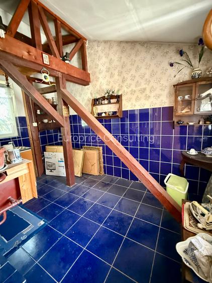 Domenii, str. Caraiman - 23