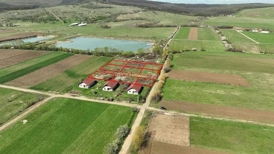 RECO, teren intravilan, Ineu,Bihor - 4