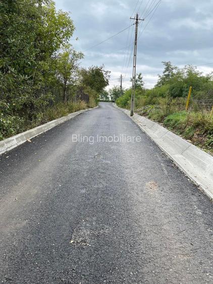 Teren intravilan  1763 mp - Jucu de Sus - Cluj - 6