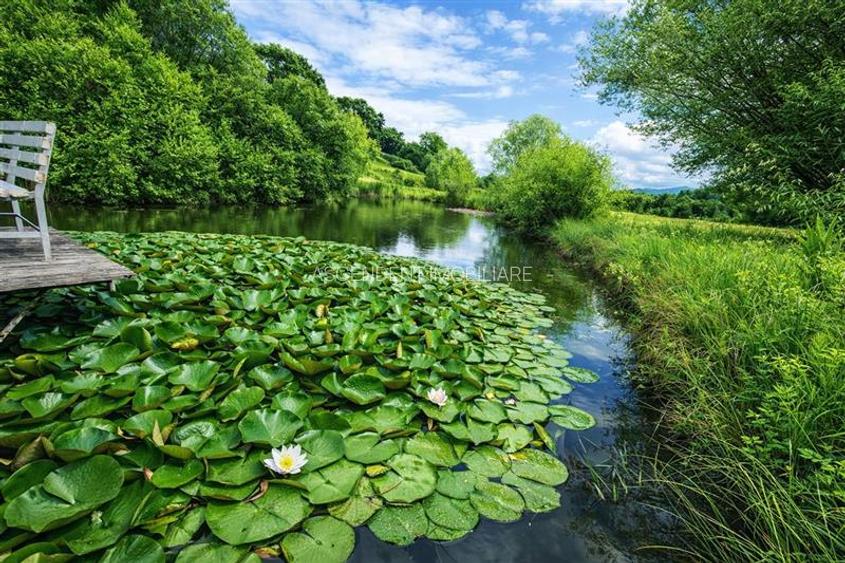 Rafinament in cartier linistit, pe 30.000 mp teren paradis, facilitati Premium - 2