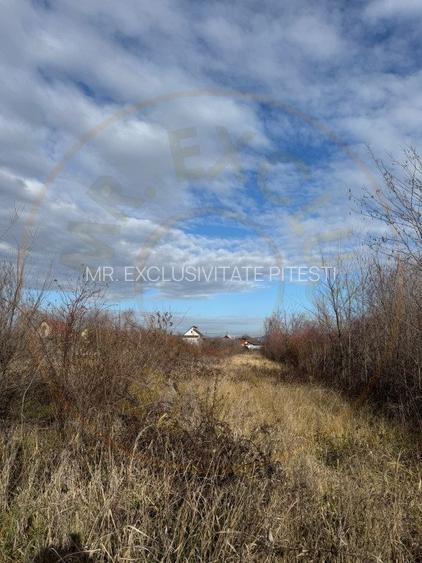 Comision 0 - Teren intravilan Prundu - Bananai - 2939 mp - 2