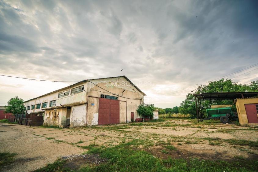 Poarta Alba, hale depozitare productie, teren 9100 mp - 10