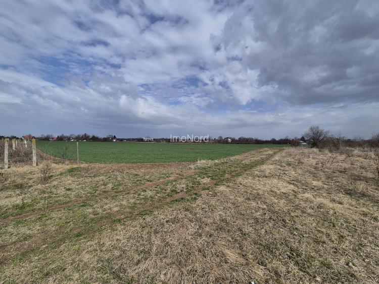 Teren ideal pentru rezidențial – Izvorani, zonă premium lângă lac - 2