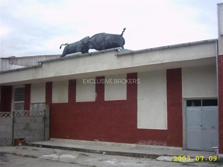 TEREN si constructii industriale-fost abator Mandresti - 2