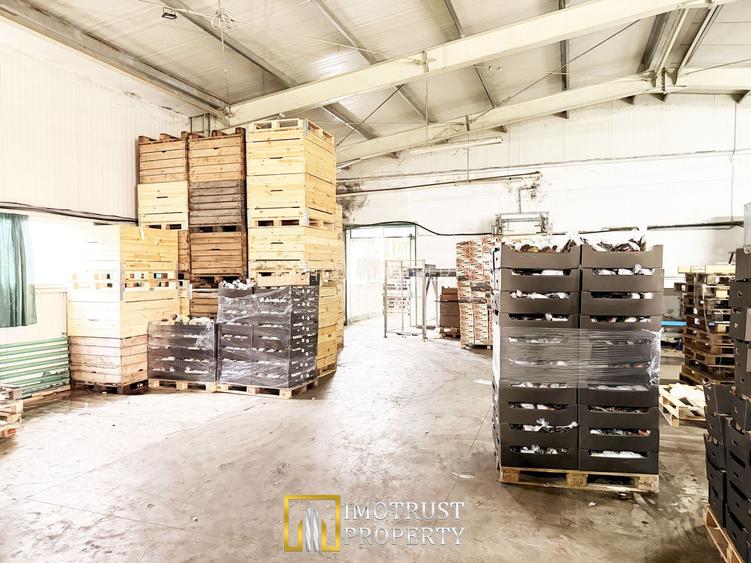 Hala industrială de vanzare Arad 540 mp, depozitare la rece, acces TIR - 7
