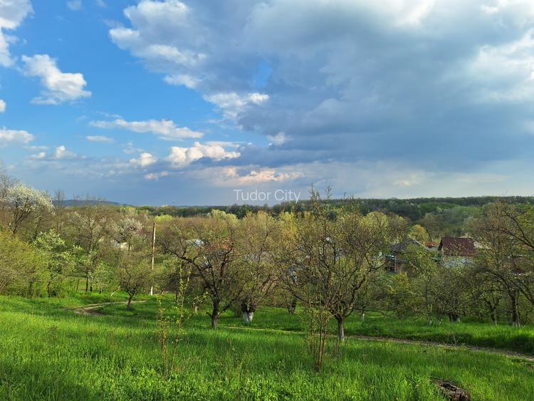 Moșia boierească din vârf de deal, Scorțeni - Prahova, comision 0% - 17