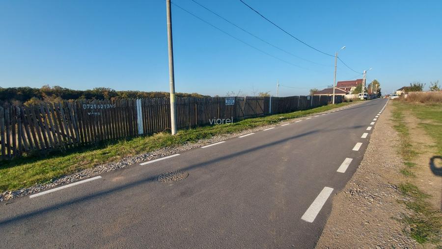 Peisaj de vis pe malul lacului Pasarea Branesti 10 min Bucuresti vand sau schimb - 6