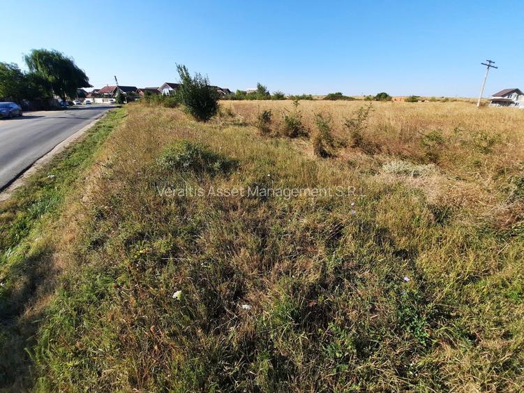Teren intravilan 33.496 mp, Com. Bradu (fosta Com. Albota), Arges - 4