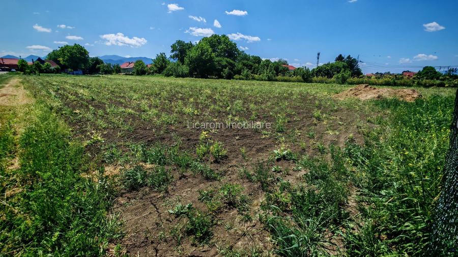 Teren intravilan in Stupini aproape de Centrul Cartierului 856 mp - 4