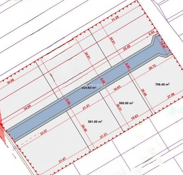 Teren strada Ion Creanga, comuna Chinteni - 4