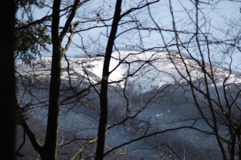 Teren de vanzare in Sinaia – zona centrala, aproape de Bulevardul Carol. - 3