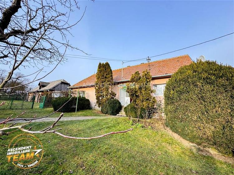 FILM! 5.000mp teren intravilan cu casuta rustica, Dalnic, Covasna - 12