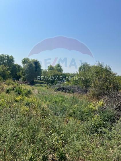 Teren de vanzare / 2,500 mp pe Malul Lacului Tancabesti /Ilfov - 5