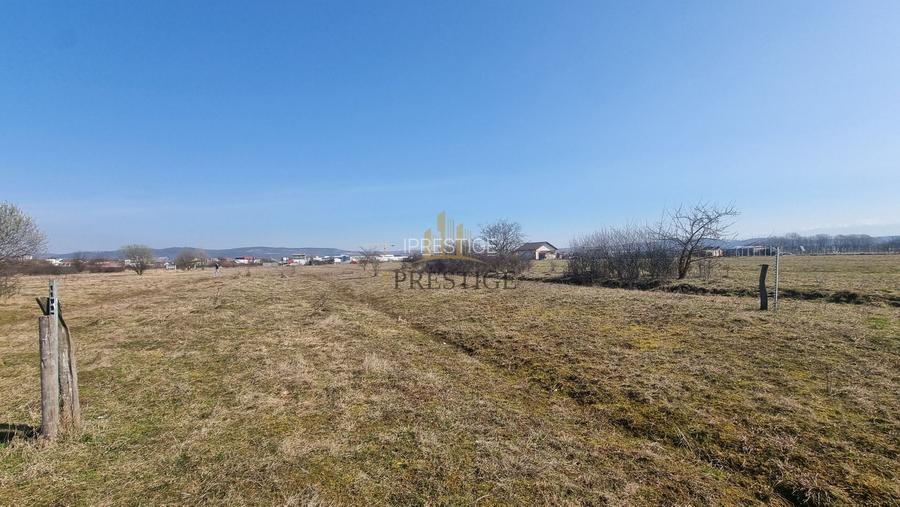 FĂRĂ COMISION | TEREN 1000 MP ȘELIMBĂR ZONA TROIȚĂ | INVESTIȚIE - 3