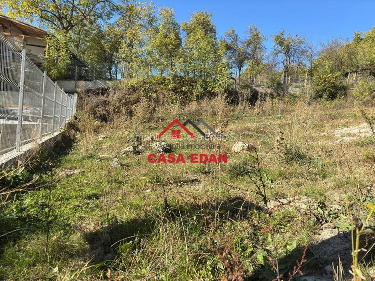 ●Teren in Cornu,Ph,500m--26.500e● - 5