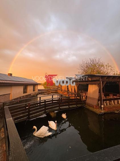 Oportunitate unică de investiție – Complex piscicol cu restaurant - 3