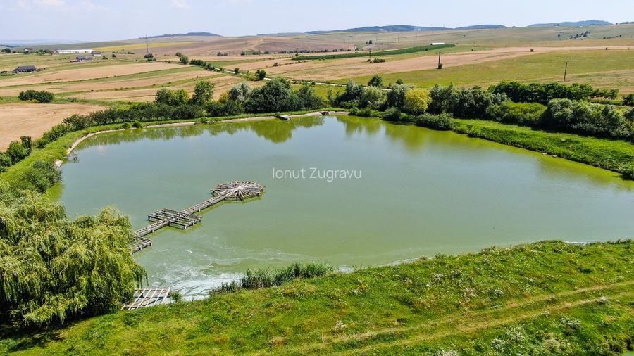 Proprietate spectaculoasă de 31.500 mp, cu iazuri și case locuibile - 8