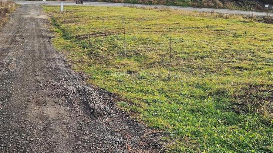 Vanzare 9 ari teren intravilan Tg. Mures Str. Zeno Vancea. - 2