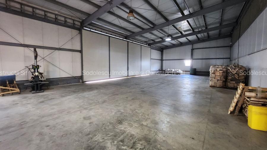 Spatiu industrial productie/ depozitare, Timiș - 13
