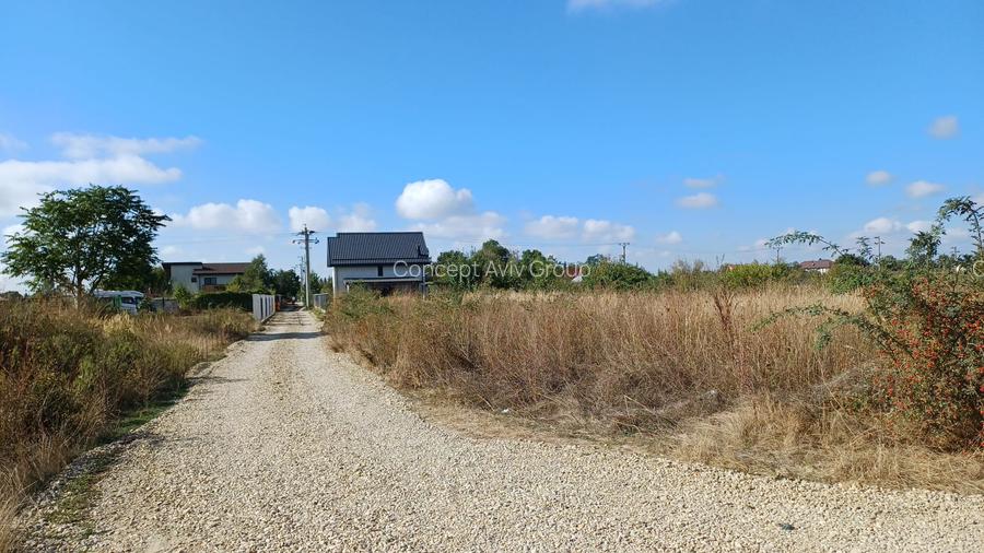 Teren Izvorani -Padure -COR - 2