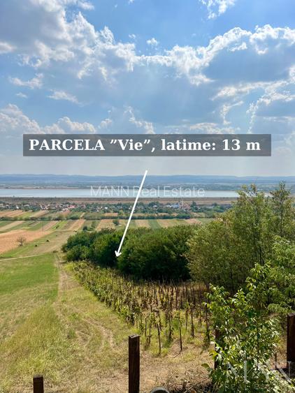 Pivnita + parcela de vie | de vanzare | Uileacu de Cris, Bihor - 8