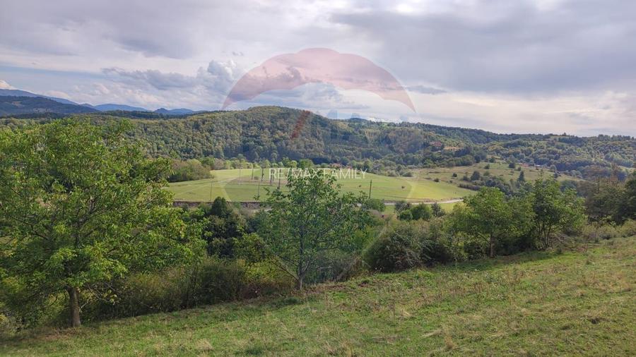 Teren constructii si faneata/livada 3082 mp Damis Bratca drum DJ 764D - 4