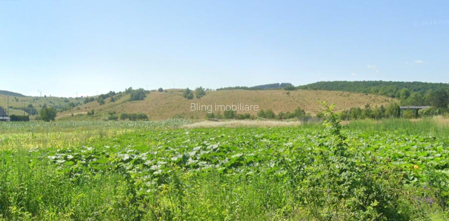 Teren de vanzare Savadisla 1400mp front la 2 drumuri  - 2