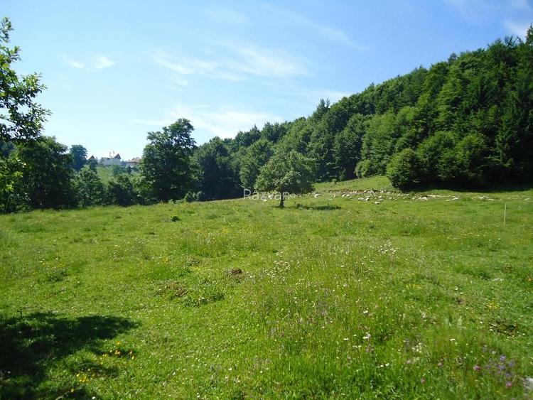 Teren pensiune, Bran-Fundata, platou cu vedere unica 8000mp - direct propietar - 2