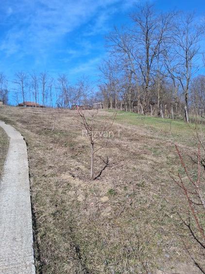 Vând teren intravilan  - 3