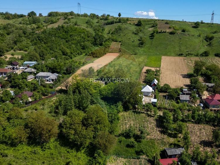 Teren 11.317 mp situat in Parava - Dragusani - Bacau - 5