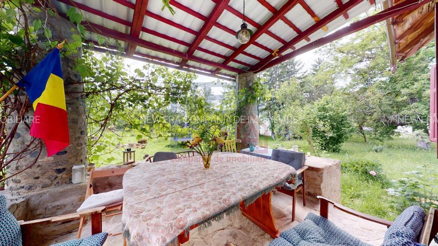 CONACUL GEORGE STEPHANESCU - 19