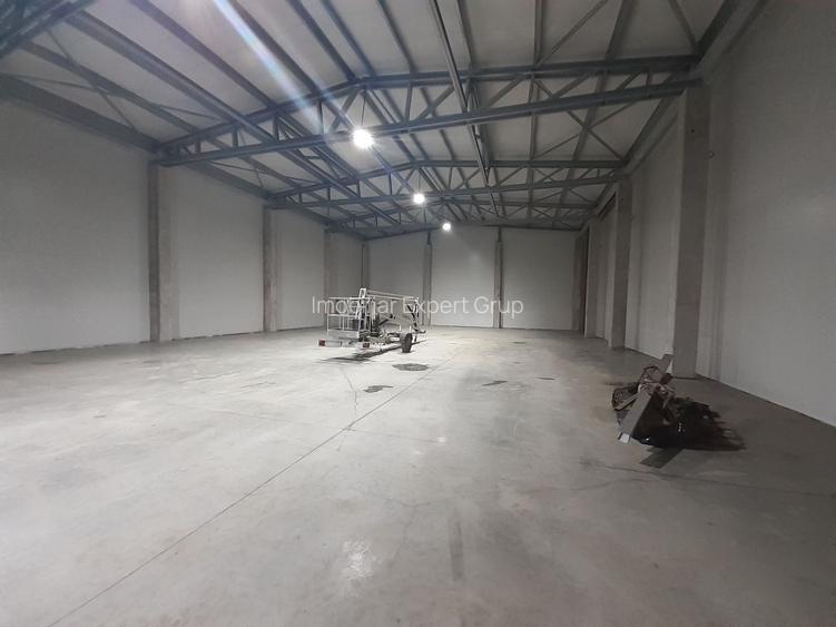 Hale, depozite de inchiriat in Afumati Ilfov, DN2, DNCB, A0, A3 - 2