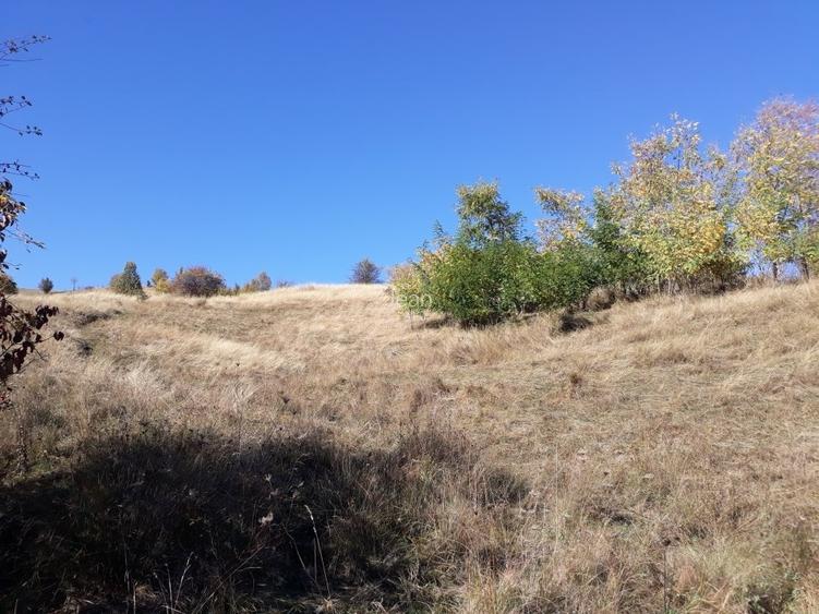 OFERTĂ SPECIALĂ! Teren intravilan de vânzare în Câmpina pe Dealul Muscel - 9