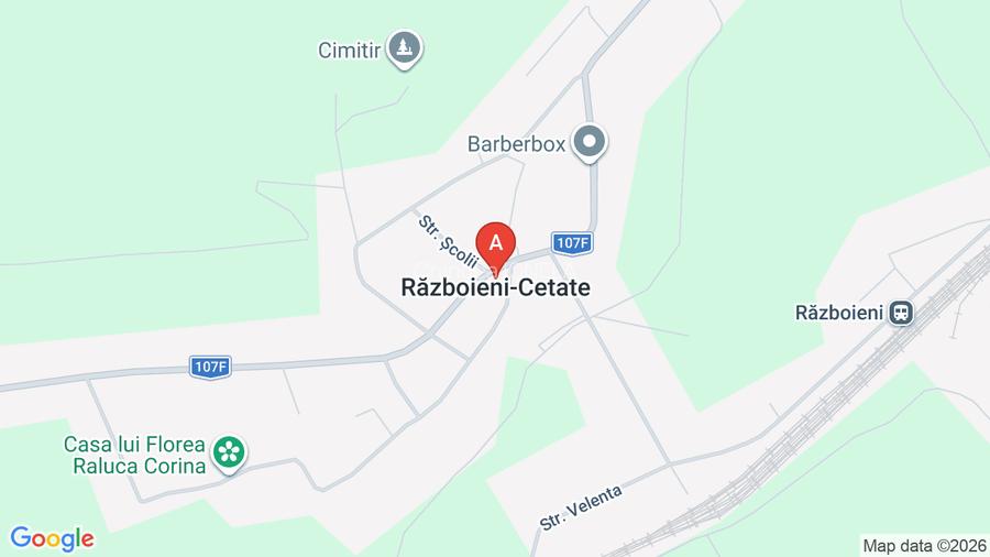 Vand apartament Razboienii - 6