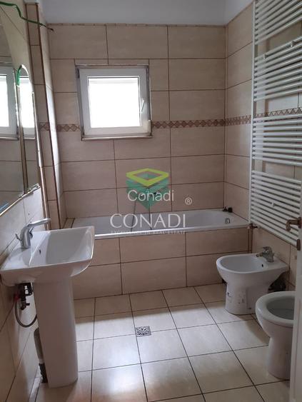 De inchiriat Hala C1 - zona DNCB Clinceni - 6