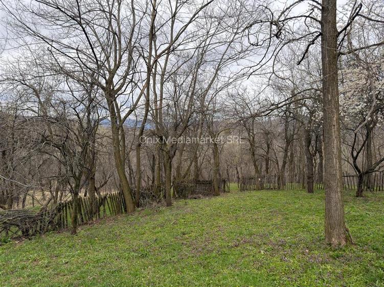 Teren intravilan 1518 mp, constructie, Sotrile, Prahova - 24 EUR/mp - 9