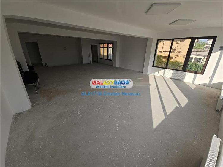 550 MP Spatiu comercial Chitila Sos Banatului intre Lidl si Mega Image - 6