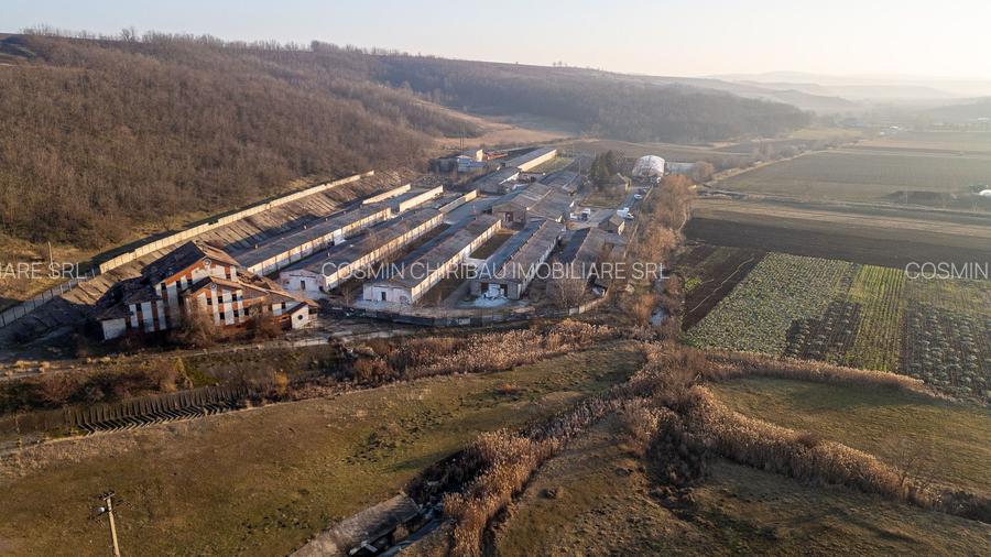 Fosta Ferma a Partidului de la Horgesti - de vanzare - 6