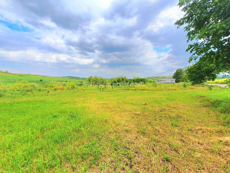 Teren intravilan 717 mp – Sura Mare, Sibiu - 4