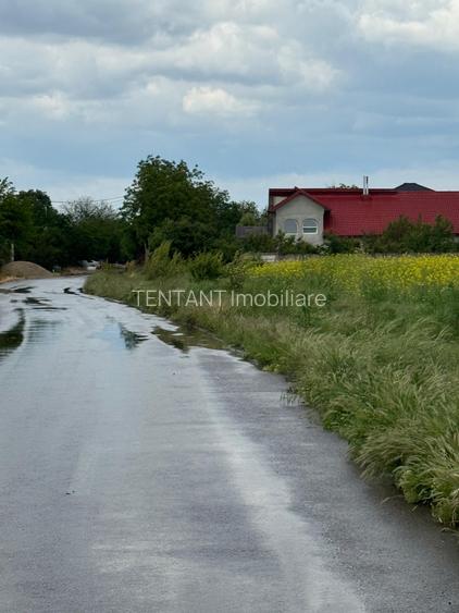 Vanzare Teren  intravilan 8000mp Adunati Copaceni Giurgiu - 6