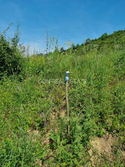 REPREZENATRE EXCLUSIVĂ! Teren intravilan construcții, zonă superbă, Livezeni. - 6