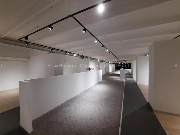 Spatii Comerciale - 500 mp - Showroom - Comert - 20