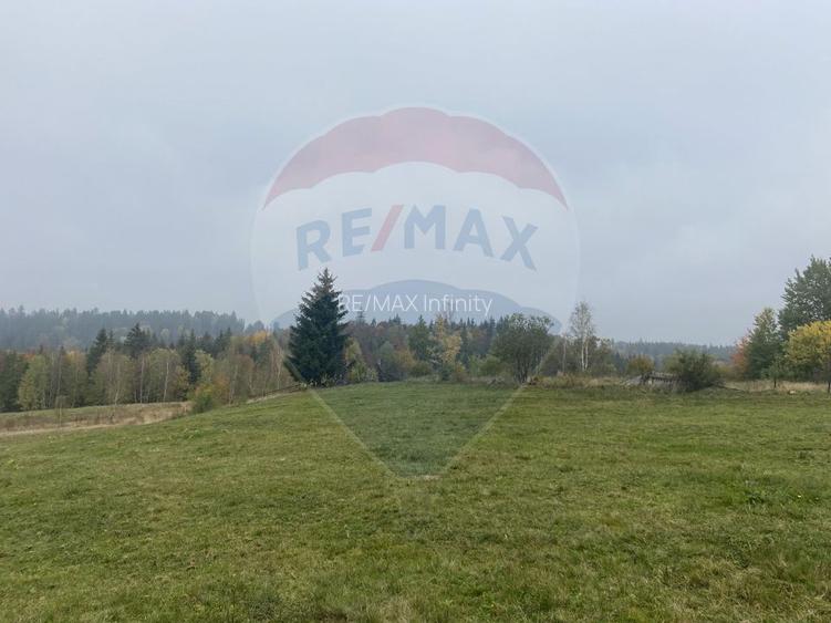 Teren de vanzare 8119 mp Calatele Padure.Muntii Apuseni - 9