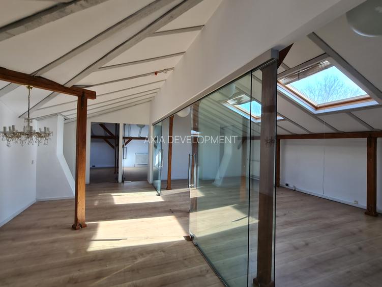 Vila Kiseleff - sediu ambasada, sediu reprezentativ - 15