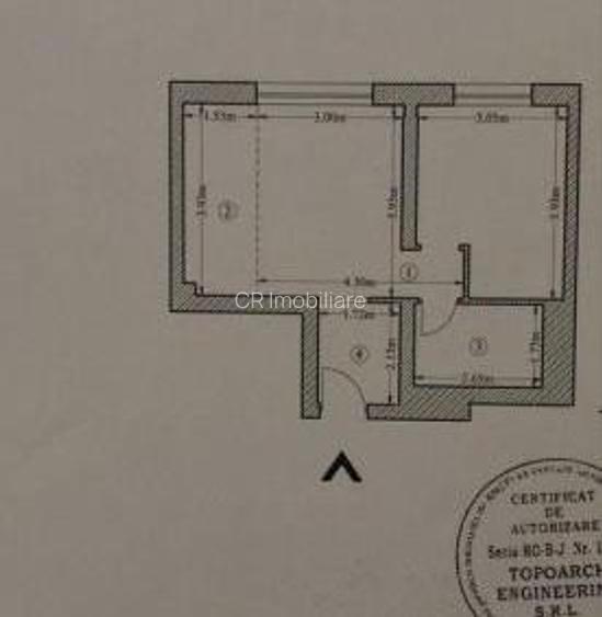 Studio Theodor Pallady 1 Decembrie 1918 - 8