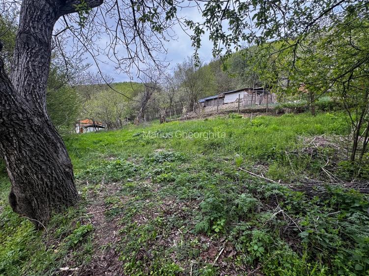 Teren intravilan 665mp cu constructie, com. Andreiașu, jud. Vrancea - 12