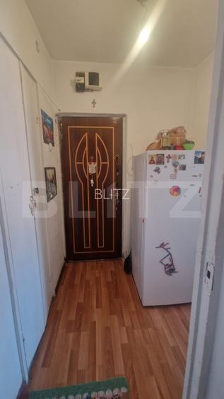 Apartament 2 camere, 45 mp, beci, etaj 2/4, zona Vlahuta - 13