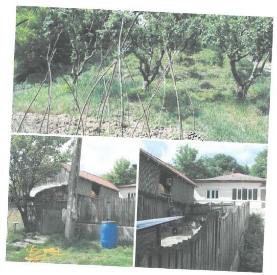 Casa + teren de vanzare in Sat Sindrilari, Com. Reghiu, Jud. Vrancea - 2